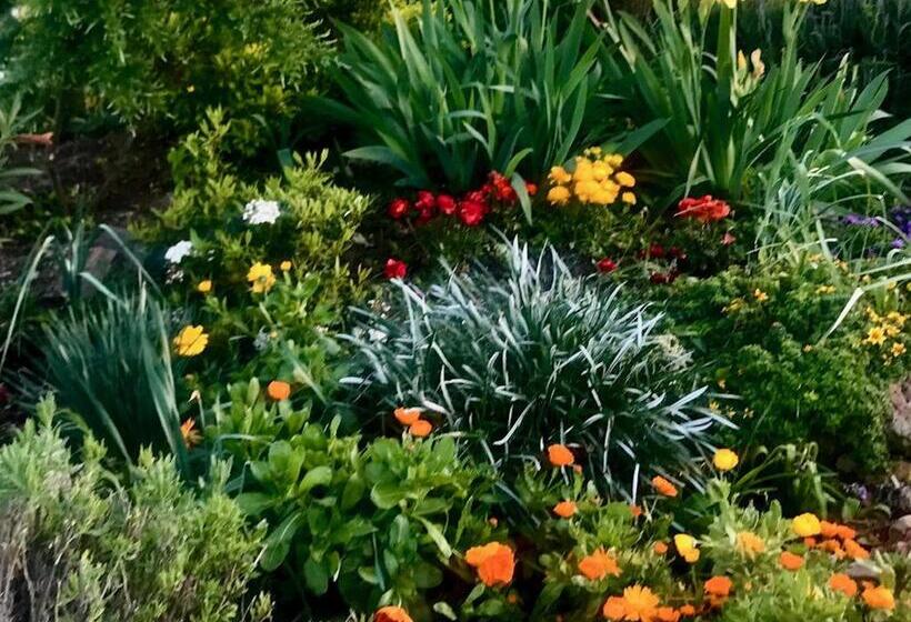 Отель La Finca Mercedes