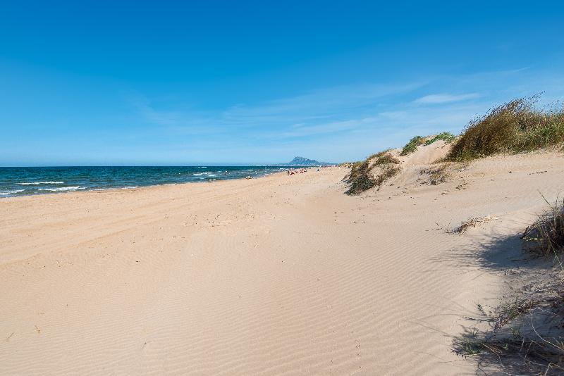 酒店 Oliva Nova Beach & Golf