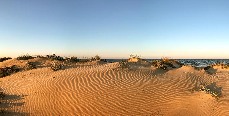 酒店 Oliva Nova Beach & Golf