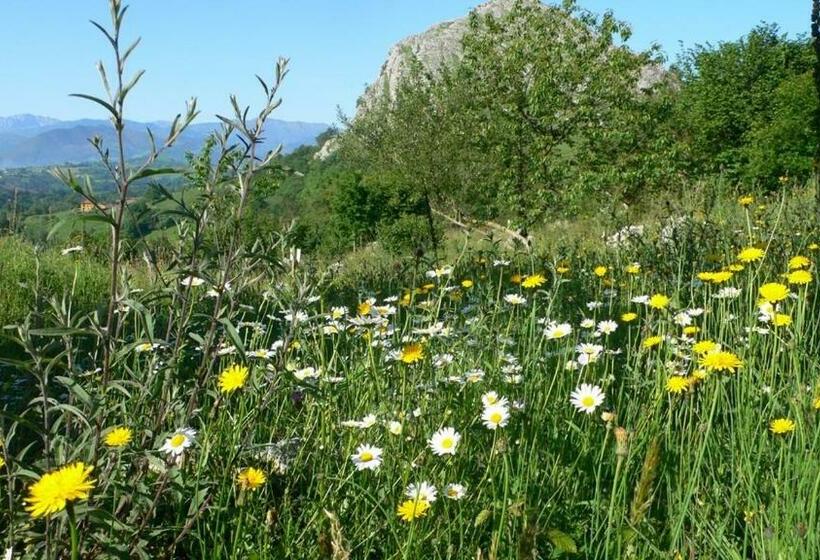 هتل Posada Del Valle