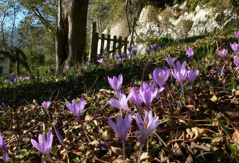 هتل Posada Del Valle