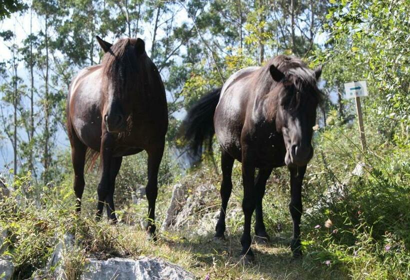 هتل Posada Del Valle