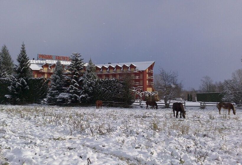 호텔 Puigcerda Park