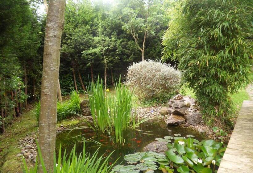 فندق ريفى El Carmen