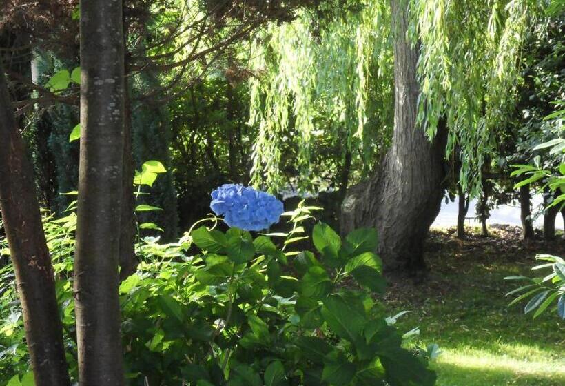 فندق ريفى El Carmen