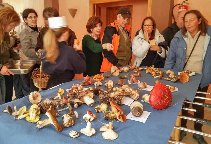 فندق ريفى Río Escabas, Serranía De Cuenca