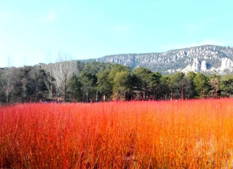 فندق ريفى Río Escabas, Serranía De Cuenca