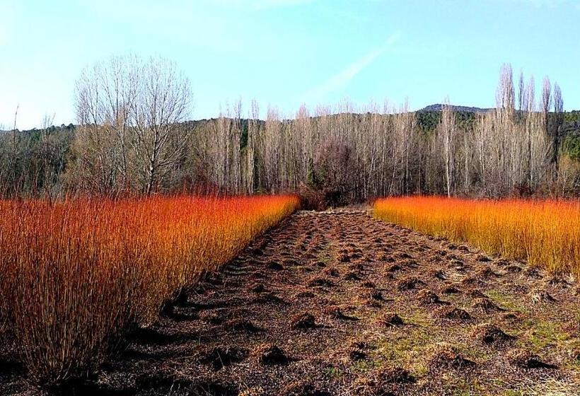 فندق ريفى Río Escabas, Serranía De Cuenca