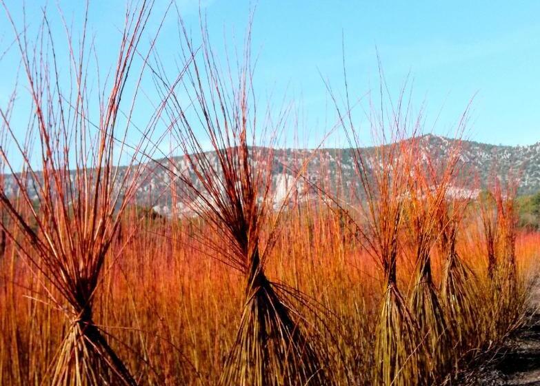 فندق ريفى Río Escabas, Serranía De Cuenca