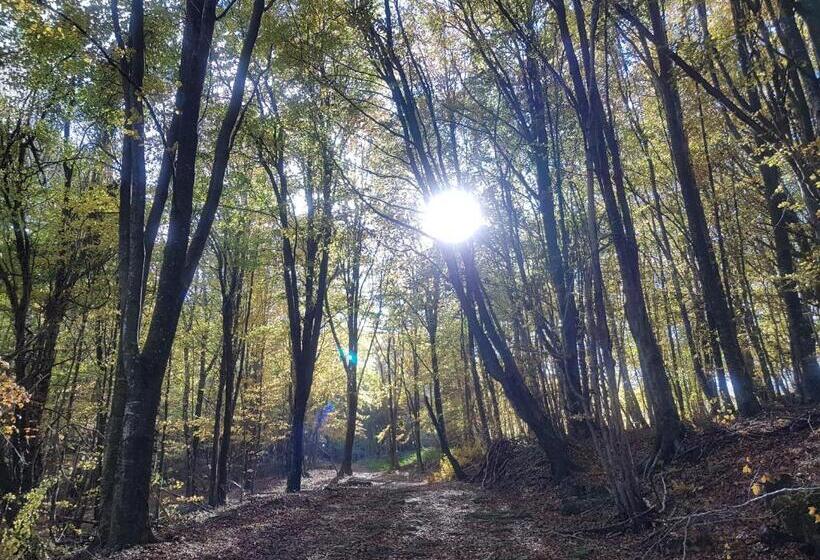 Отель Santuari De La Salut De Sant Feliu De Pallerols