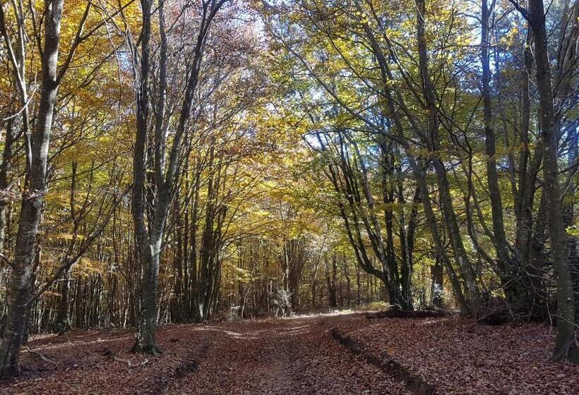 Отель Santuari De La Salut De Sant Feliu De Pallerols