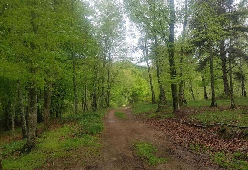 Отель Santuari De La Salut De Sant Feliu De Pallerols