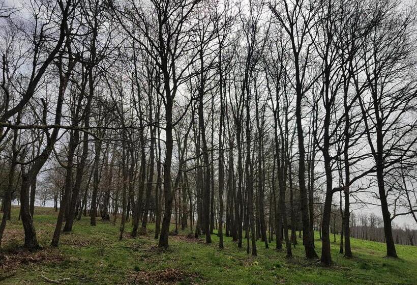 Отель Santuari De La Salut De Sant Feliu De Pallerols