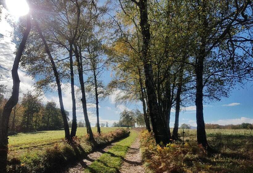Отель Santuari De La Salut De Sant Feliu De Pallerols