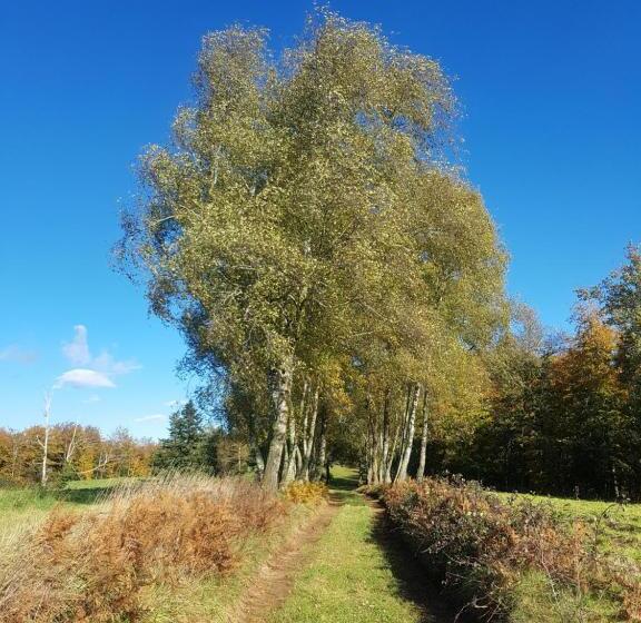 Отель Santuari De La Salut De Sant Feliu De Pallerols