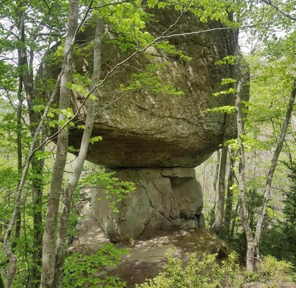 Отель Santuari De La Salut De Sant Feliu De Pallerols