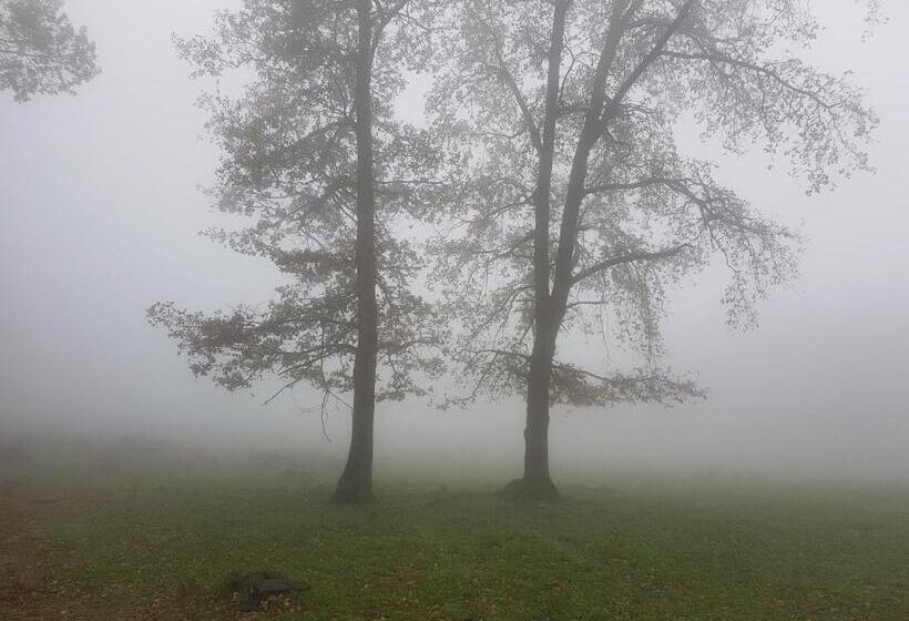 Отель Santuari De La Salut De Sant Feliu De Pallerols