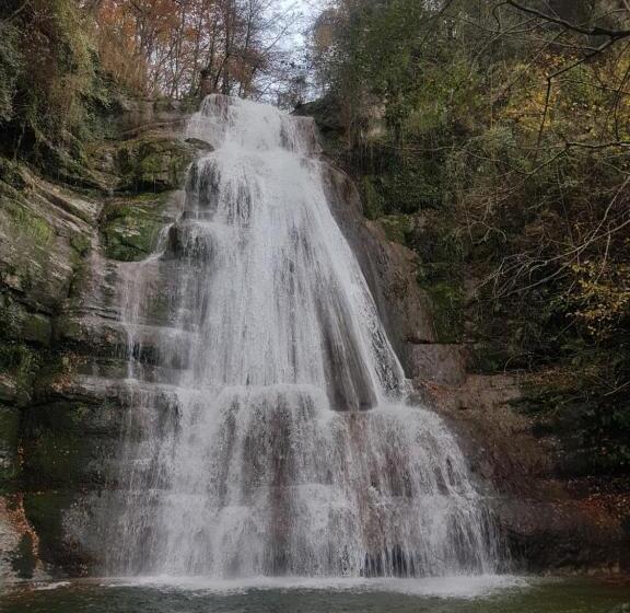 Отель Santuari De La Salut De Sant Feliu De Pallerols