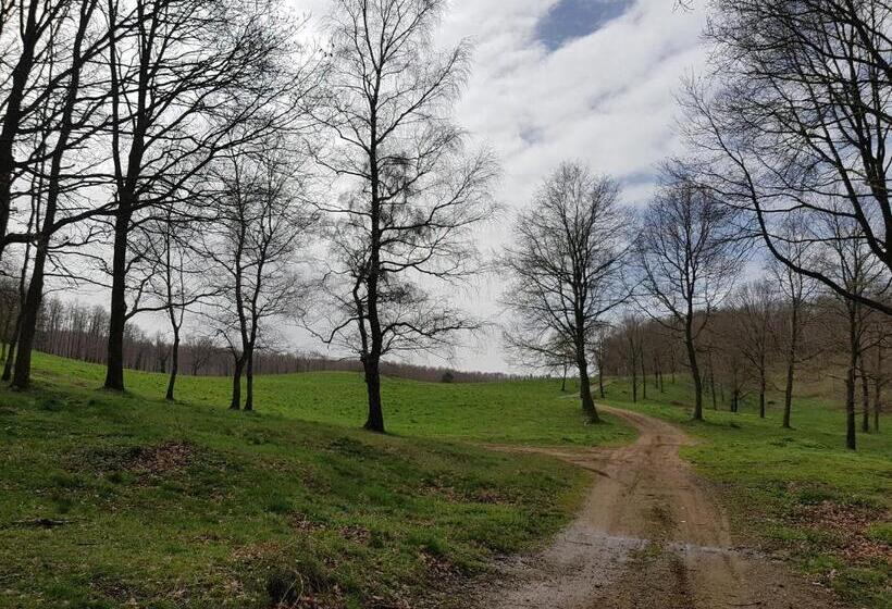 Отель Santuari De La Salut De Sant Feliu De Pallerols