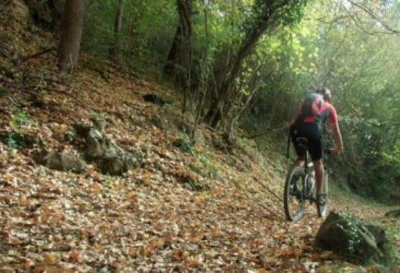 هتل Solana Del Ter