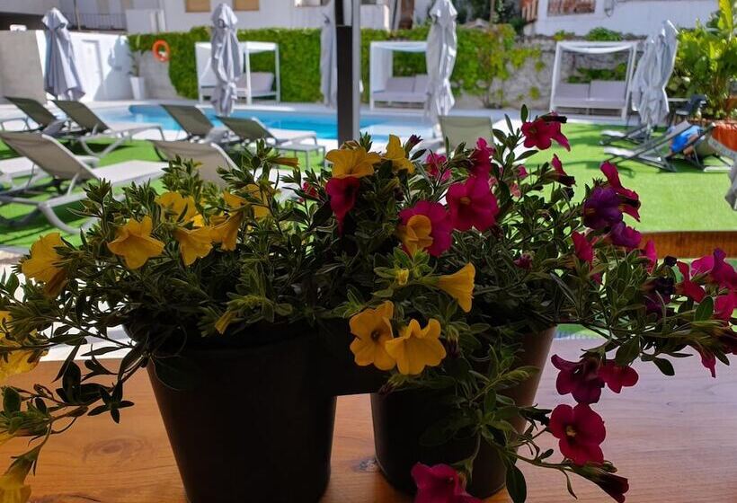 호텔 Windsor Tossa   Adults Only 16