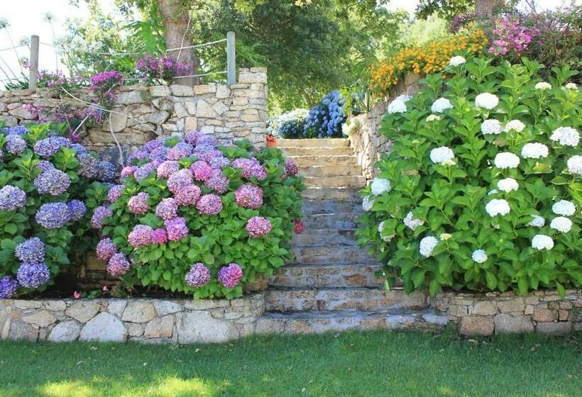 Apartamentos Maritimo Suites Solo Adultos