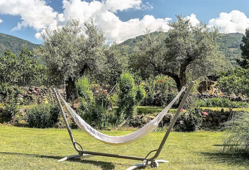 مسافرخانه Hosteria Fontivieja