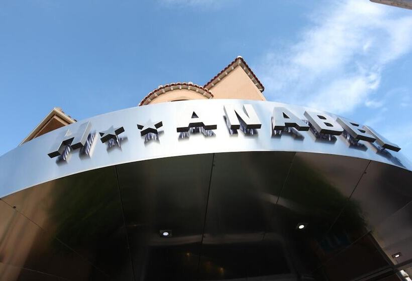 Отель Anabel Baza