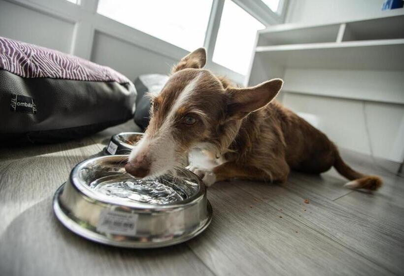 Отель Atlántico Vigo