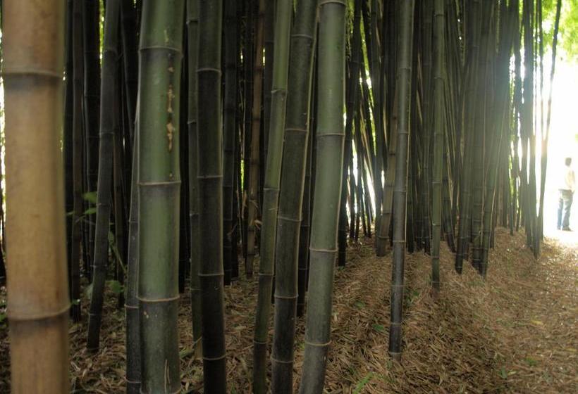 Balneario Hotel Dávila