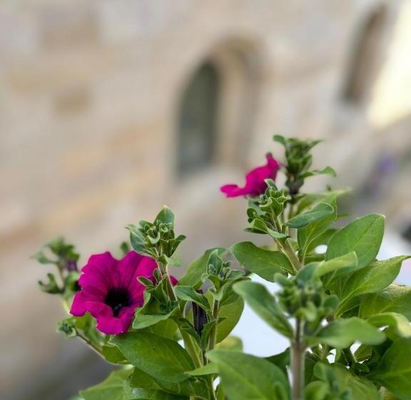 בית מלון כפרי Casa Celsa Barbantes