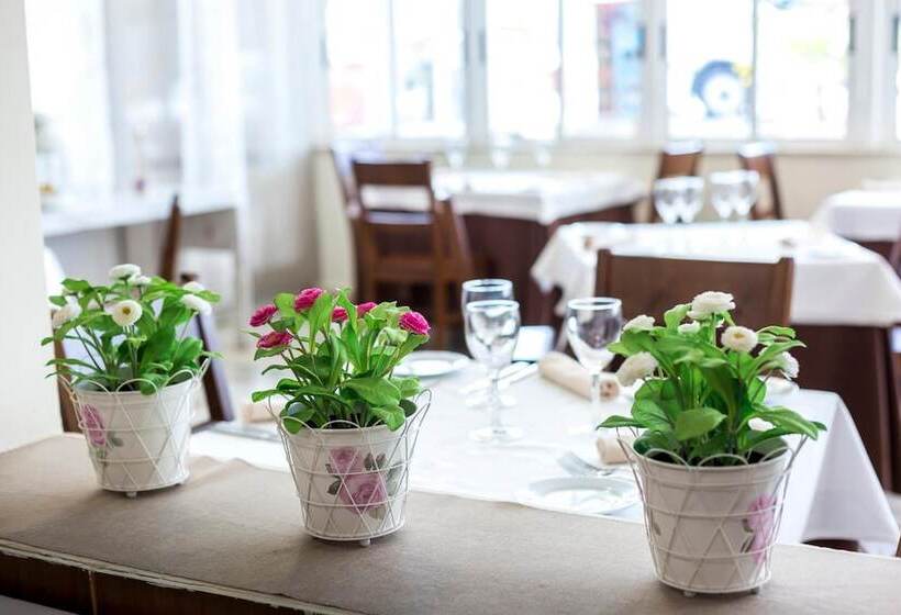 Отель Complejo Roma