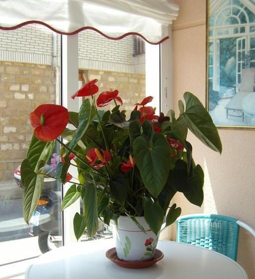 هتل Hospedaje Argoños