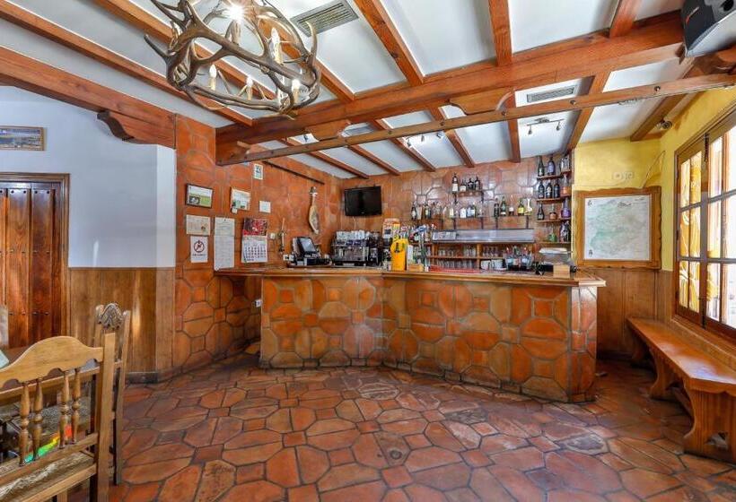 ホテル Hostal Alfonso Xi