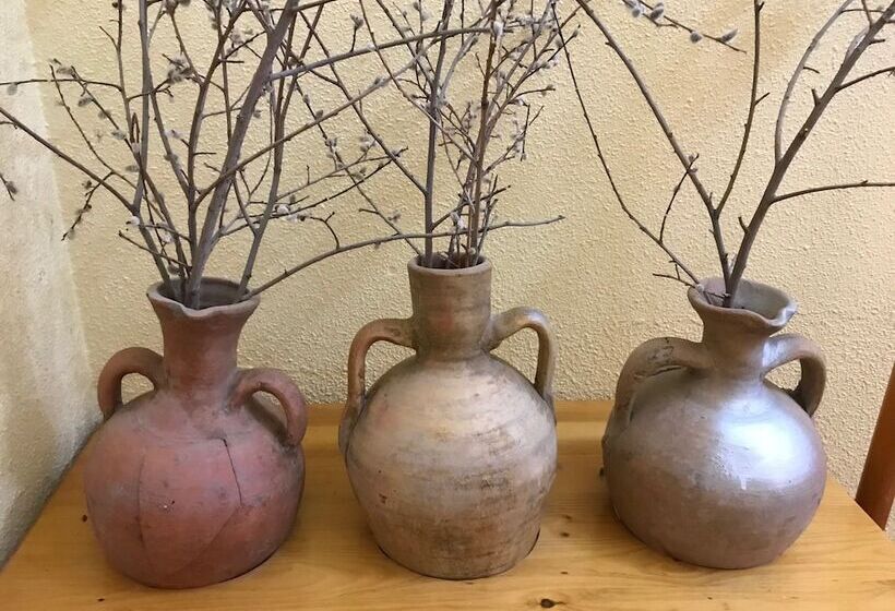 فندق Hostal Alto Tajo