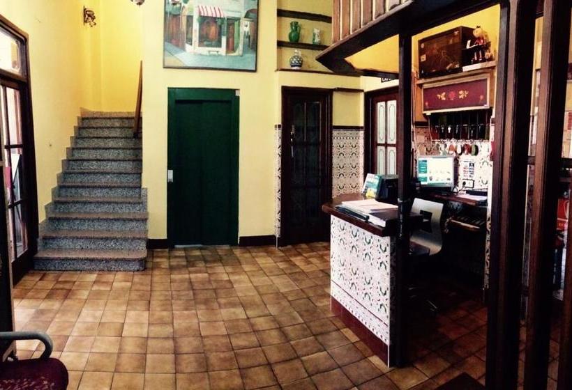 酒店 Hostal Mimosa