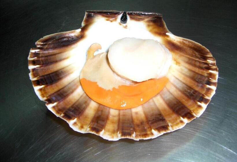 호텔 Hostal Miryam