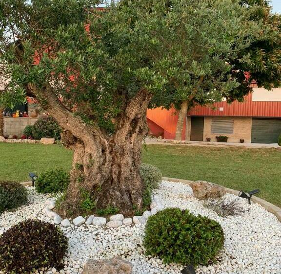 Отель Hostal O Cruceiro