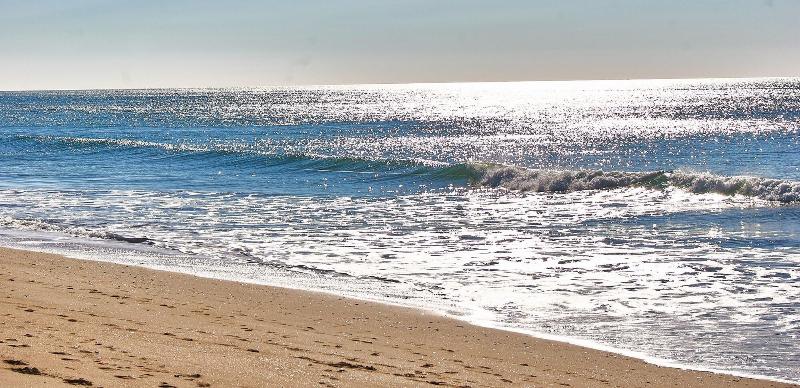 ホテル Hostal Restaurante La Nina