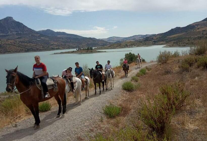 Отель Hostal Rural Marques De Zahara