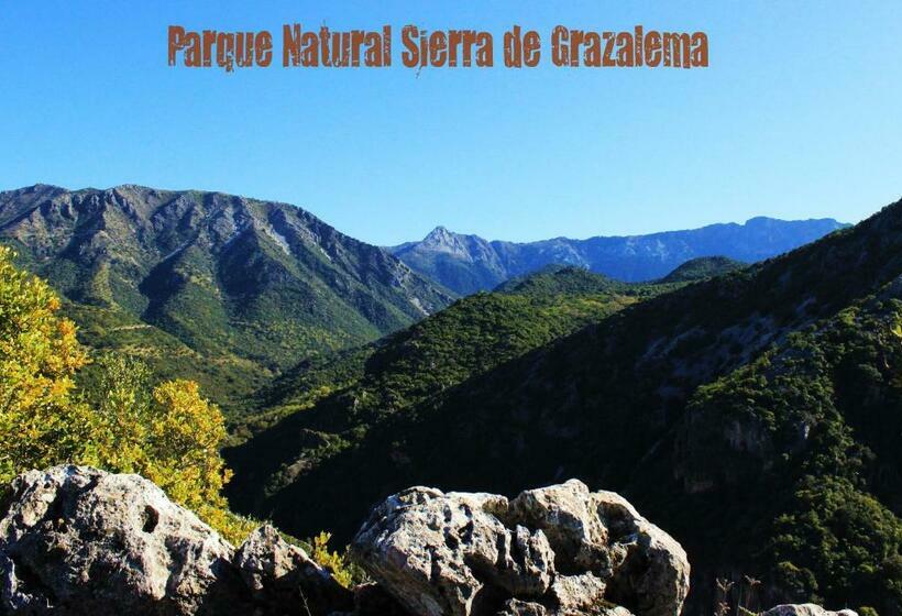 Отель Hostal Rural Marques De Zahara