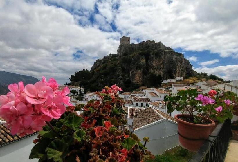 Отель Hostal Rural Marques De Zahara