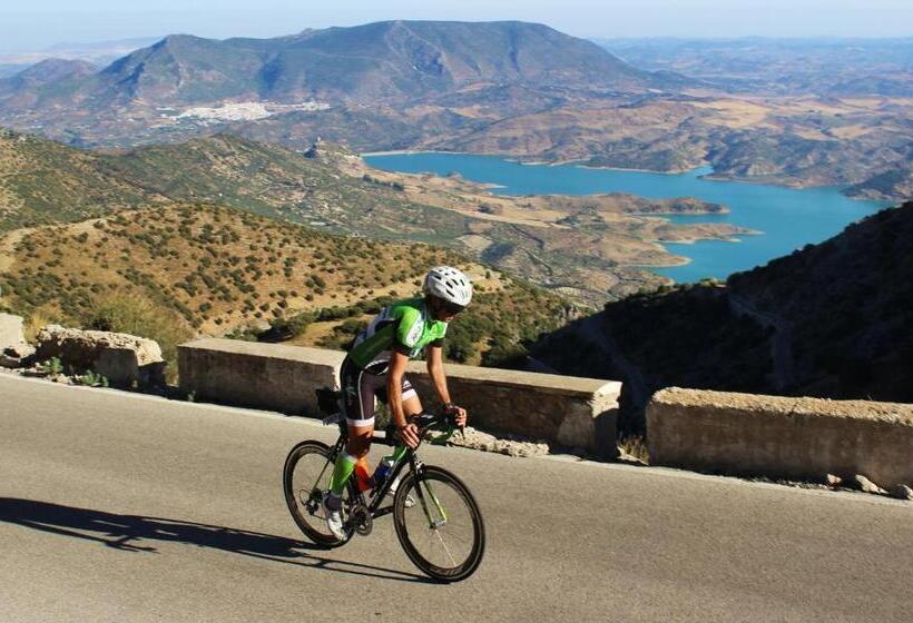 Отель Hostal Rural Marques De Zahara