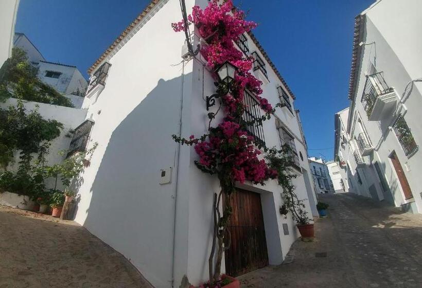 Отель Hostal Rural Marques De Zahara