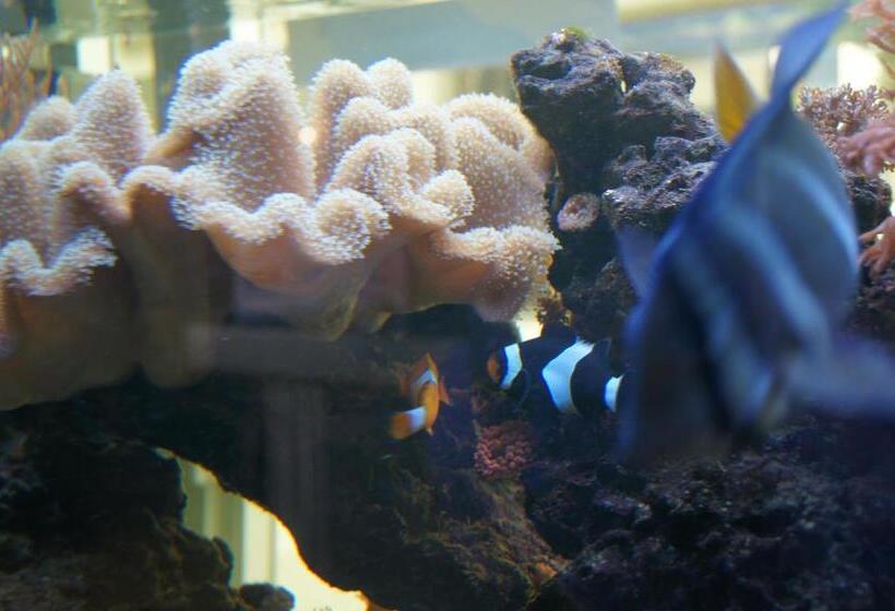 هتل Hostal Sanmar