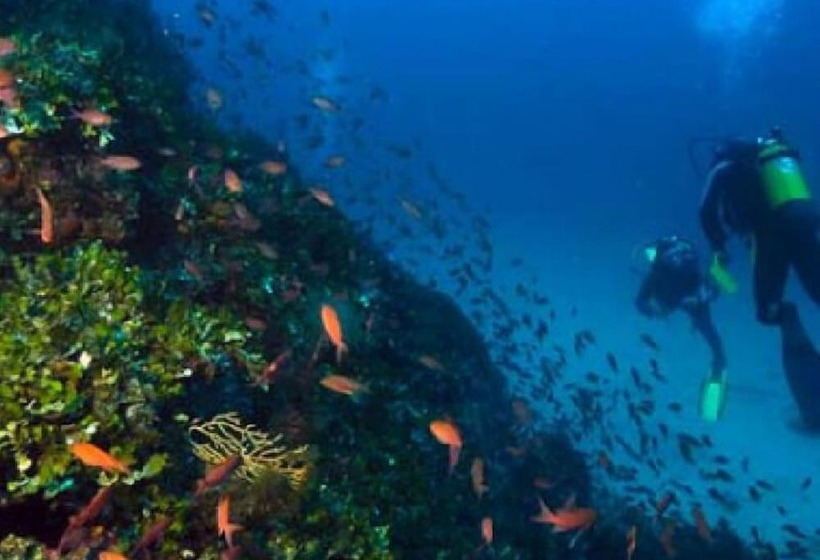 Отель Hostal Tropical