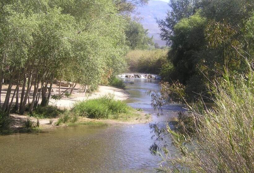 Отель Hostal Tropical