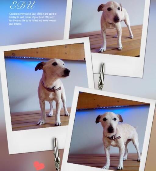 酒店 Hosteria Santander