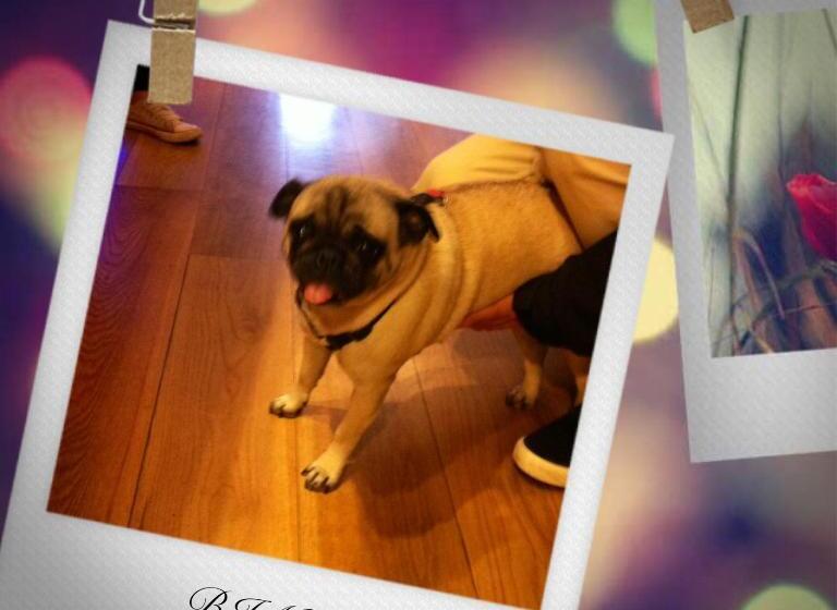 酒店 Hosteria Santander