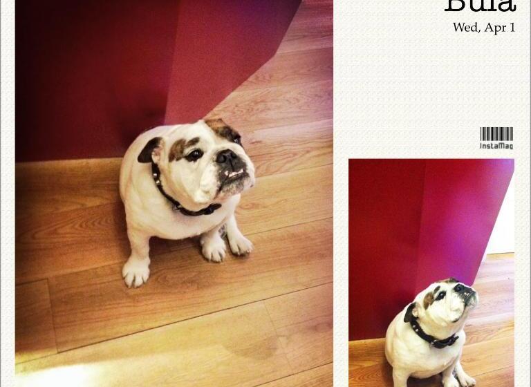 酒店 Hosteria Santander